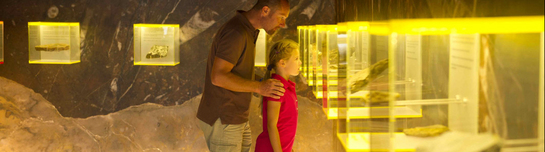 Blick ins Besucherzentrum des Geoparks Karnische Alpen.