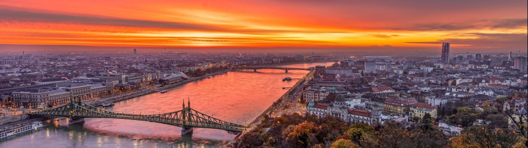 Blick vom Gellértberg auf die Freiheitsbrücke.