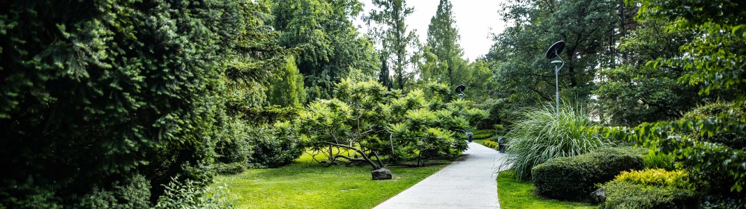 Die Margareteninsel ist ein grünes Paradies im Herzen der Stadt Budapest.