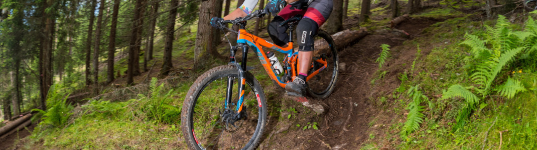 Nichts für schwache Nerven ist der EinsEinser Trail am Elfer. Er ist vier Kilometer lang und überwindet eine Höhendifferenz von rund 800 Metern.