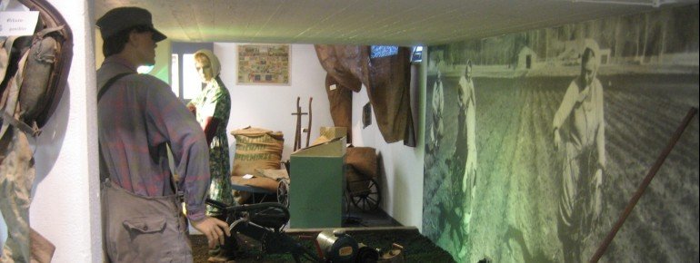 Auf interaktive Entdeckungsreise können Besucher im Pfefferminzmuseum gehen. Die Ausstellungsstücke dürfen alle angefasst werden.