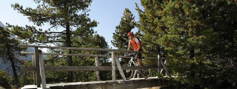 Brücke auf dem Bernina Express
