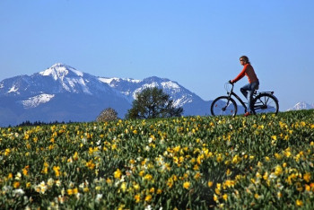 Saftige Wiesen und Alpenpanorama - vor allem im Frühling ist das Chiemgau landschaftlich ein Traum für alle Bergsportler