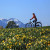 Saftige Wiesen und Alpenpanorama - vor allem im Frühling ist das Chiemgau landschaftlich ein Traum für alle Bergsportler