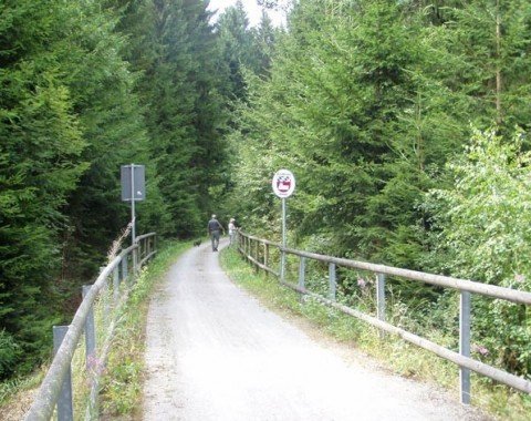 Explore the area around the Bavarian Forest.