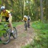 Mountainbiker im Bayerischen Wald, Landkreis: Freyung-Grafenau