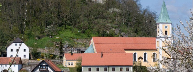 Blick auf Burg Falkenstein