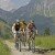 Bei einer Mountainbike-Tour durch das Tannheimer Tal kannst du herrliche Ausblicke genießen.