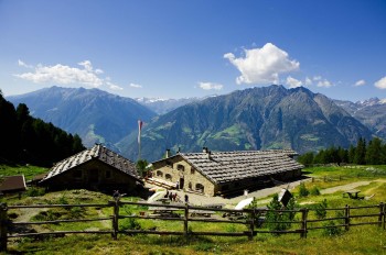 Naturnser Alm im Sommer