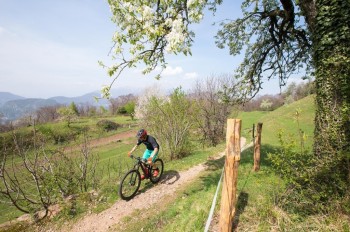 Die Vicania Bike Nr. 351 führt auf unbefestigten Wegen rund um die Halbinsel südlich von Lugano – mit Blick auf den See und die umliegenden Berge.