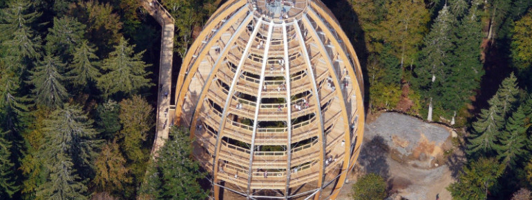 Highlight der Tour ist das Nationalparkzentrum in Neuschönau mit dem großen Tier-Freigehege und dem 44 Meter hohen Baumturm - erreichbar über einen 1,3 km langen Baumwipfelpfad