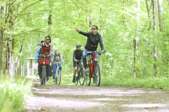 Another stage destination is Oberwald forest - third nature sphere of the Rhine plane, and a recreational forest near the city.