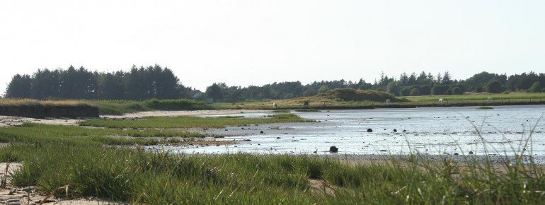 Die Radtour führt dich durch die Dünen- und Heidelandschaften auf Rømø