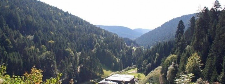 View down from the dam wall