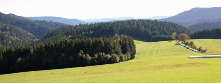 Hühnernest above Vortal