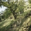 Rieder Rundtour