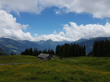 Die über 40 Meter lange Radtour verspricht eine tolle Aussicht in die Bergwelt des Bregenzerwaldes.