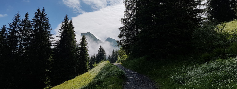 Bei der aussichtsreichen Radtour fährst du am Fuße der Kanisfluh entlang, einem weitgehend isoliert stehenden Bergmassiv im zentralen Bregenzerwaldgebirge .