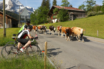 Die Tour de Gstaad classique hat alle Zutaten zu einem Klassiker.