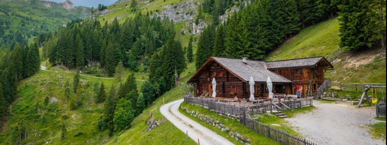 Mooslehenalm in Großarl