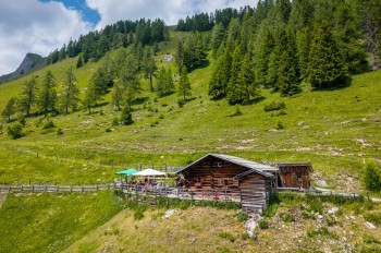 Viehhausalm in Großarl