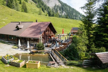 Niggeltalalm im Großarltal