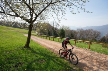 The Alpe Vicania is a nature reserve with wide dry meadows.