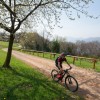 The Alpe Vicania is a nature reserve with wide dry meadows.