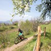 The Vicania Bike Nr. 351 leads along unpaved paths around the peninsula south of Lugano — with views of the lake and the surrounding mountains.
