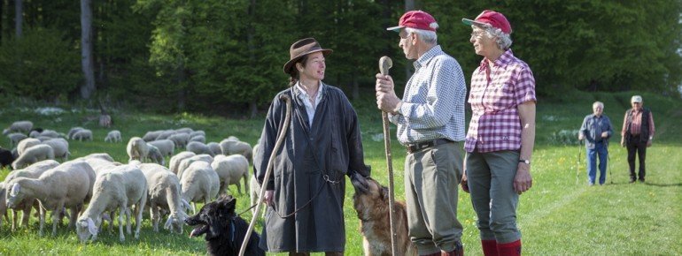Shepherd on the tour in Sontheim