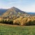 The Kastanienweg in the Alto Malcantone leads through one of Ticino's most enchanting cultural landscapes — through chestnut groves, birch forests and five picturesque villages.