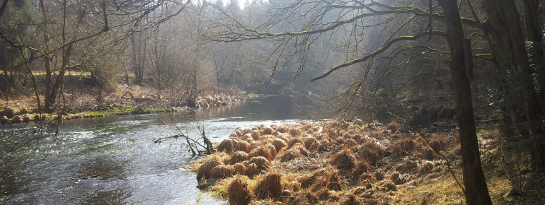 The banks of river Ilz are beautiful no matter the season.