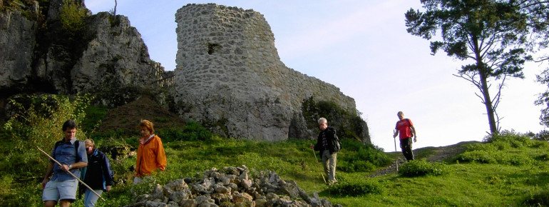 Lichtenegg castle ruins
