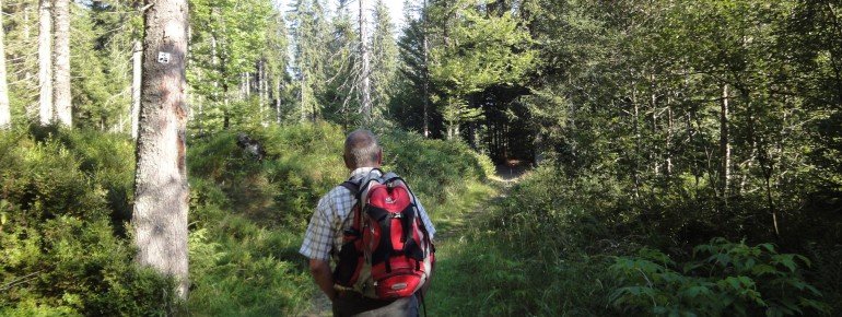 The path starts relatively plane, and keeps following along Reschbach stream.