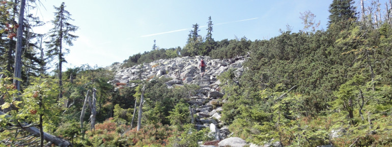 Over granite blocks you reach the peak.