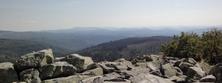 View from Lusen towards the south.