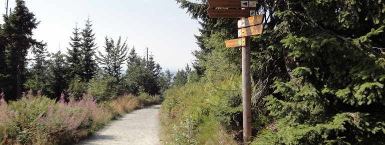 Don't miss it: you have to leave the Winterwanderweg and turn left shortly after you start descending from the summit.