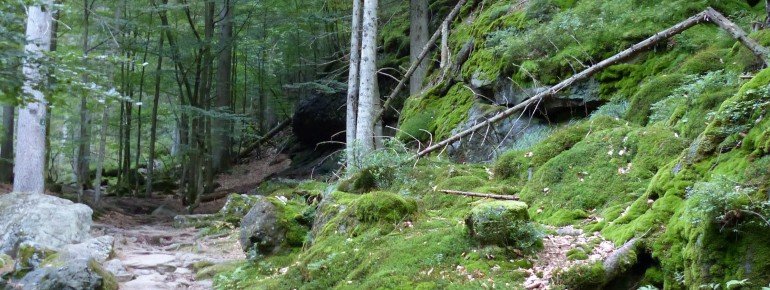 Rocky path to Rißloch Waterfalls