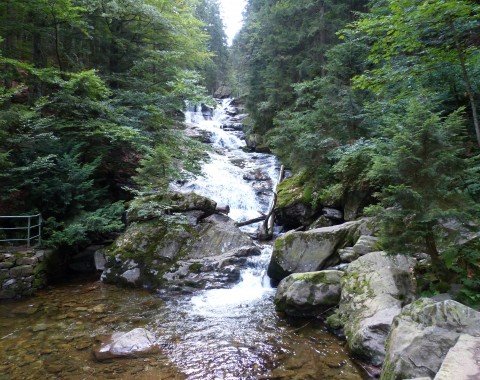 Schwellbach underneath Rißlochfälle waterfalls.