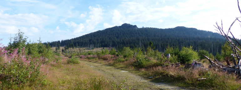 Beginning of Arbersteig trail with view of the summit.