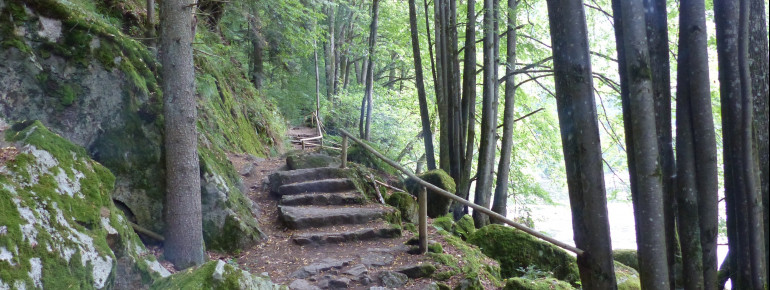 These few stairs are the only slight ascent of the route.