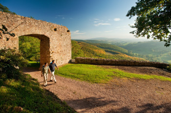 You come across beautiful views over the Pfälzer Bergland region.