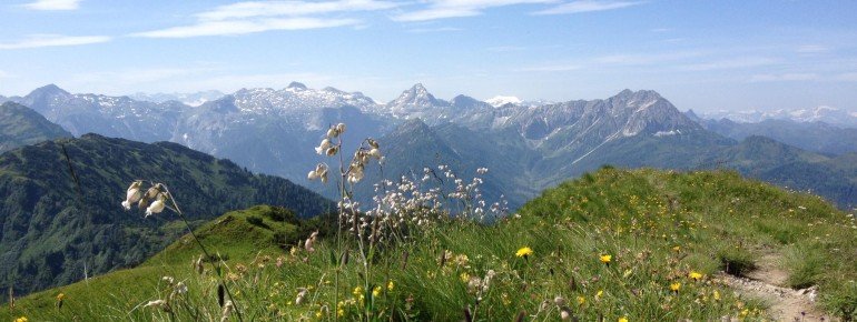 view to the mountains