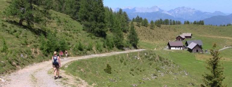 Mountain pastures Lackenalmen