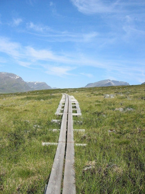 Due to the soggy ground, wooden planks are laid out in parts of Kungsleden.