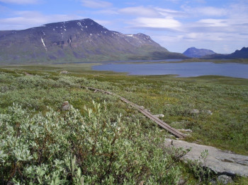 A view of Lake Miesakárvi.