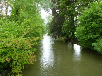 River Radolfzeller Aach in Singen