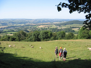 You will coem across sheep on numerous occasions as you follow Offa's Dyke Path.