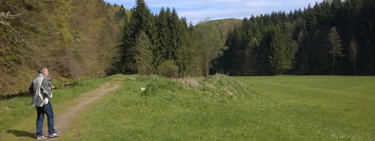 The trail leads to a few forest clearings.