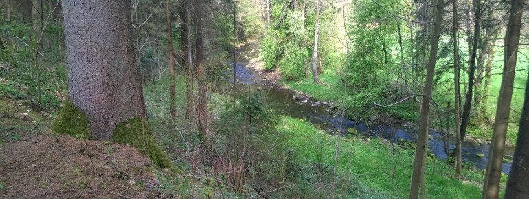 View from the highest channel down to Osterbach